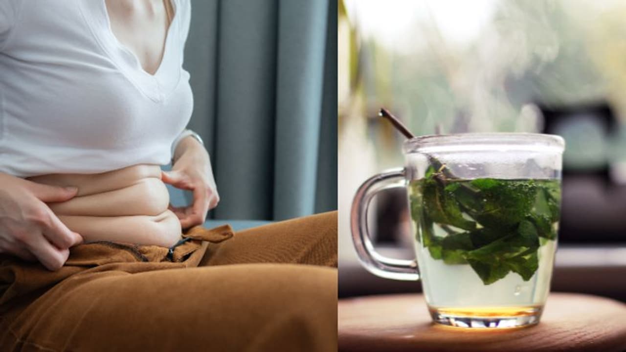 ഇനിയും വണ്ണം കുറഞ്ഞില്ലേ? ഡയറ്റില്‍ പുതിനയില ഇങ്ങനെ ഉൾപ്പെടുത്തൂ... 