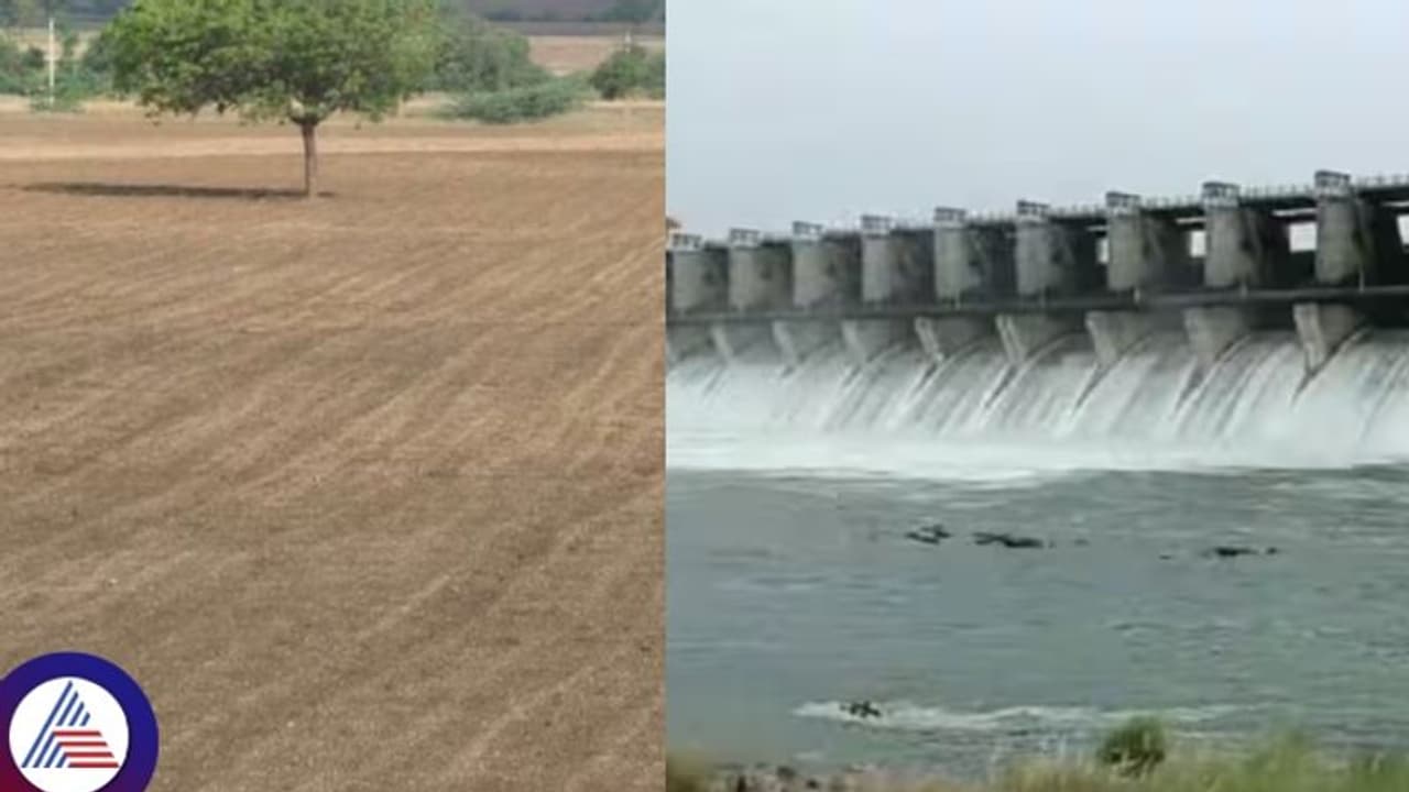 ಬರದ ನಾಡಲ್ಲಿ ಭರವಸೆ ಮೂಡಿಸಿದ ಜಿಟಿಜಿಟಿ ಮಳೆ: ಬಿತ್ತನೆಗೆ ಗ್ರೀನ್ ಸಿಗ್ನಲ್ ಕೊಟ್ಟ ಹವಾಮಾನ ಇಲಾಖೆ ಬರದ ನಾಡಲ್ಲಿ ಭರವಸೆ ಮೂಡಿಸಿದ ಜಿಟಿಜಿಟಿ ಮಳೆ: ಬಿತ್ತನೆಗೆ ಗ್ರೀನ್ ಸಿಗ್ನಲ್ ಕೊಟ್ಟ ಹವಾಮಾನ ಇಲಾಖೆ