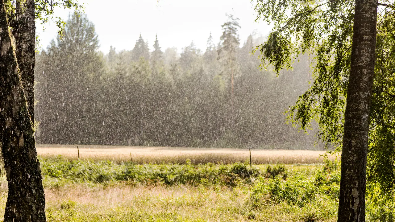 ದಾವಣಗೆರೆ ಜಿಲ್ಲೆಯಲ್ಲಿ 7.8 ಮಿ.ಮೀ. ಮಳೆ: 20.70 ಲಕ್ಷ ರೂ. ನಷ್ಟ
