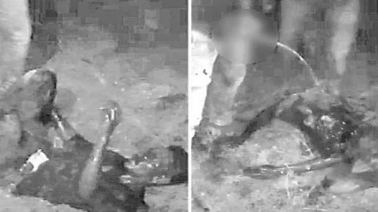 பழங்குடியின இளைஞரை தாக்கி, வாயில் சிறுநீர் அடித்த கொடூரக் கும்பல்.. மற்றொரு அதிர்ச்சி சம்பவம்.. பழங்குடியின இளைஞரை தாக்கி, வாயில் சிறுநீர் அடித்த கொடூரக் கும்பல்.. மற்றொரு அதிர்ச்சி சம்பவம்..