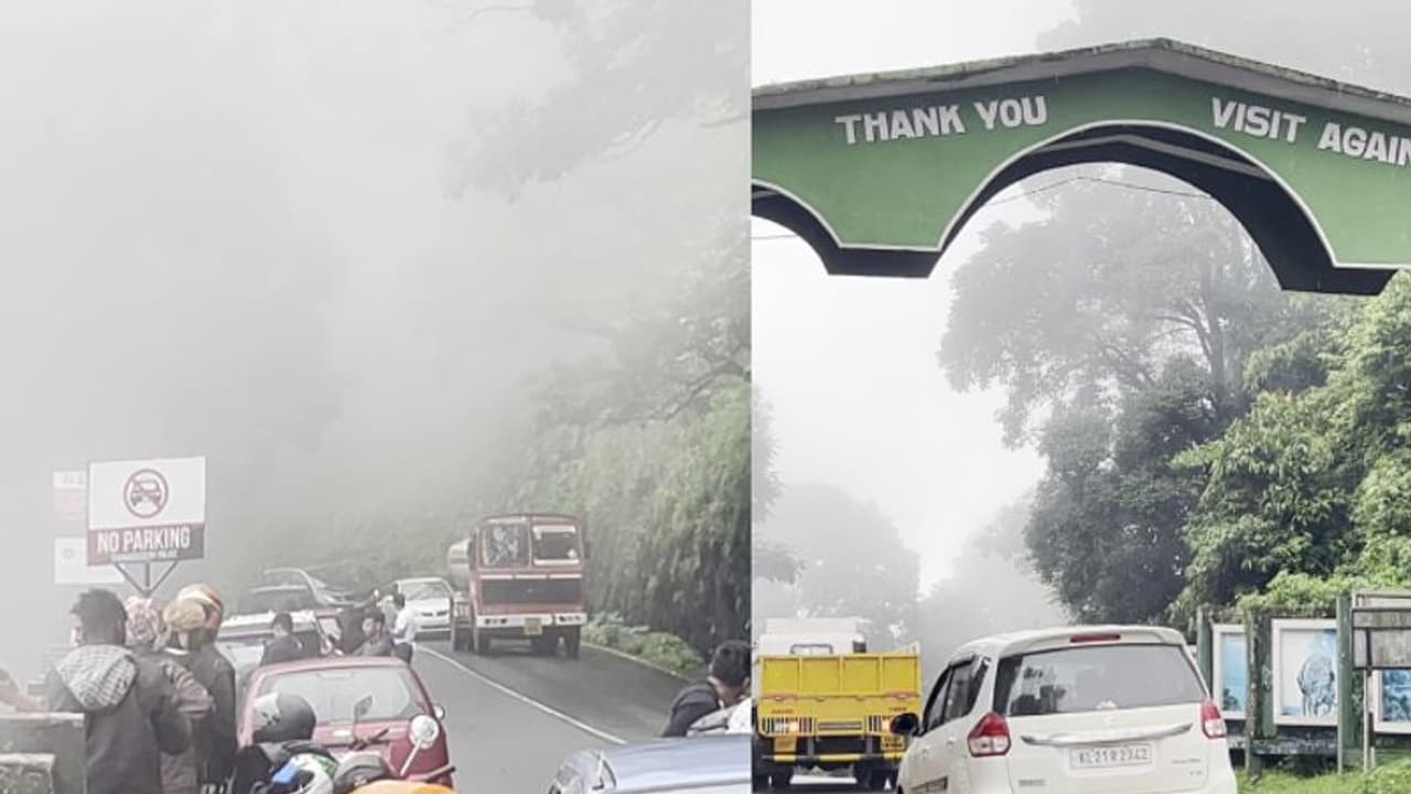 കോടമഞ്ഞിന് കുളിച്ച് താമരശ്ശേരി ചുരം; നൂല്മഴ പോലെ മഞ്ഞ്, വ്യൂപോയിന്റില് കാഴ്ച്ചക്കാരുടെ തിരക്കേറുന്നു കോടമഞ്ഞിന് കുളിച്ച് താമരശ്ശേരി ചുരം; നൂല്മഴ പോലെ മഞ്ഞ്, വ്യൂപോയിന്റില് കാഴ്ച്ചക്കാരുടെ തിരക്കേറുന്നു