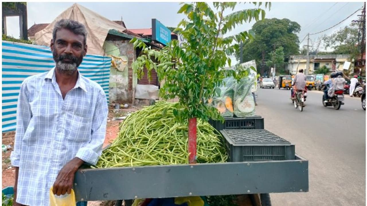 പൊള്ളുന്ന പച്ചക്കറിവില; പക്ഷേ ഹാഷിമിന്റെ പച്ചക്കറി കിറ്റ് വാങ്ങാൻ തിരക്കോട് തിരക്ക്, 50 രൂപ കിറ്റ് വൻ ഹിറ്റ്! പൊള്ളുന്ന പച്ചക്കറിവില; പക്ഷേ ഹാഷിമിന്റെ പച്ചക്കറി കിറ്റ് വാങ്ങാൻ തിരക്കോട് തിരക്ക്, 50 രൂപ കിറ്റ് വൻ ഹിറ്റ്!