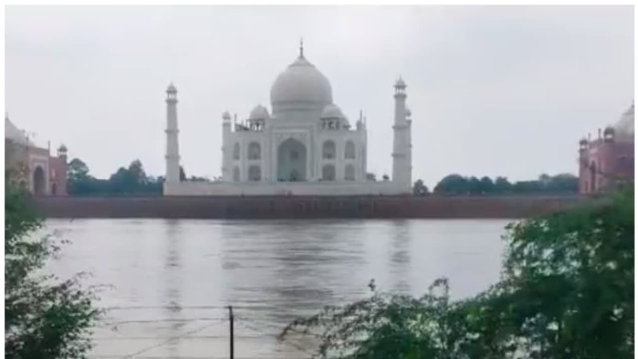 45 വര്ഷങ്ങള്ക്ക് ശേഷം താജ്മഹല് തൊട്ട് യമുന; വെള്ളപ്പൊക്കത്തിന്റെ ഭയപ്പെടുത്തുന്ന വീഡിയോ വൈറല് ! 45 വര്ഷങ്ങള്ക്ക് ശേഷം താജ്മഹല് തൊട്ട് യമുന; വെള്ളപ്പൊക്കത്തിന്റെ ഭയപ്പെടുത്തുന്ന വീഡിയോ വൈറല് !