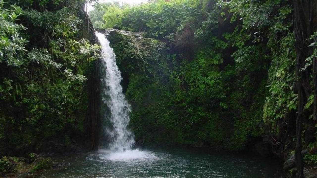 Dive into the mystical woods of Apsarakonda this monsoon