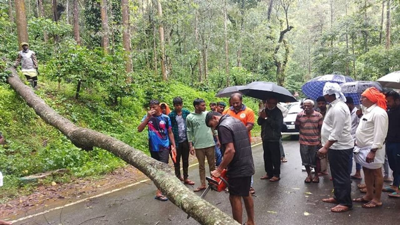 ಸಕಲೇಶಪುರದಲ್ಲಿ ಬೆಂಬಿಡದ ಮಳೆ: ಧರೆಗುರುಳಿದ ಮರ, ಜನಜೀವನ ಅಸ್ತವ್ಯಸ್ತ