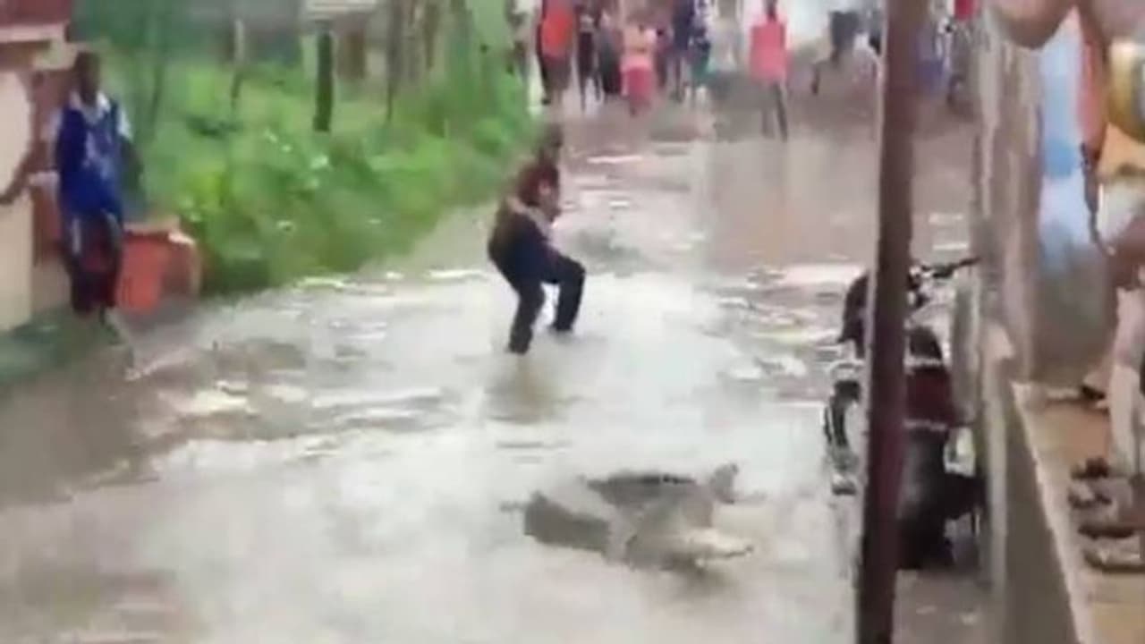 Viral video: വെള്ളപ്പൊക്കം, വീടുകളിലും കുളിമുറികളിലും വരെ മുതലകൾ, മുതലപ്പേടിയുമായി ജനങ്ങൾ