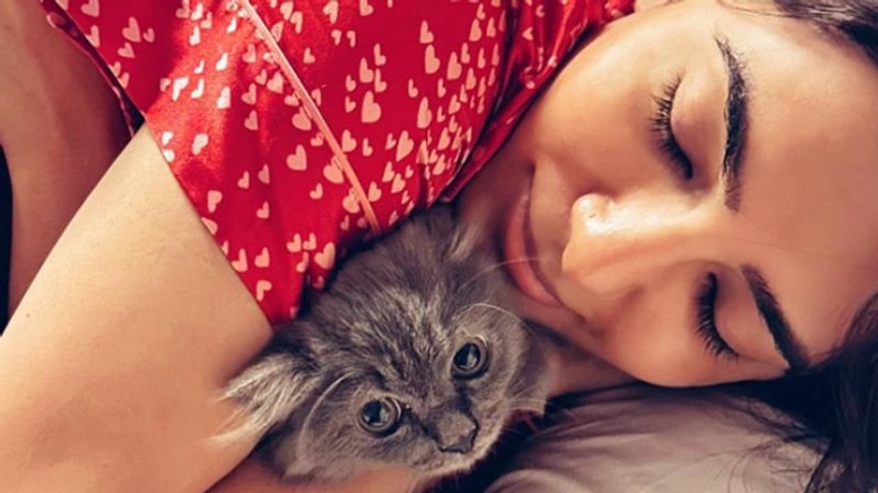 Samantha Ruth Prabhu introduces her pet cat with an adorable Instagram post; Know details Samantha Ruth Prabhu introduces her pet cat with an adorable Instagram post; Know details