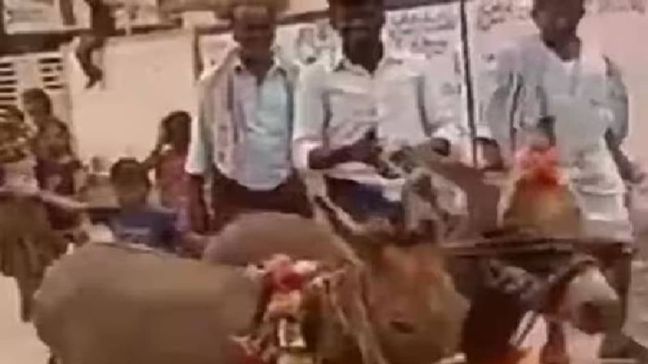 മഴപെയ്യാൻ കഴുതകളുടെ വിവാഹം നടത്തി ആന്ധ്രപ്രദേശിലെ ഗ്രാമവാസികൾ 