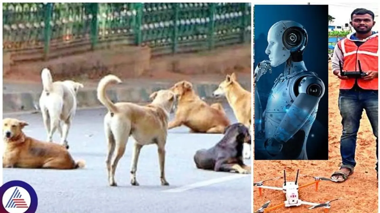 Bengaluru: ಬೀದಿ ನಾಯಿಗಳ ಸಮೀಕ್ಷೆಗೂ ಎಐ ಡ್ರೋನ್ ಬಳಕೆ: ಬಿಬಿಎಂಪಿ ತಾಂತ್ರಿಕ ಚಿಂತನೆ