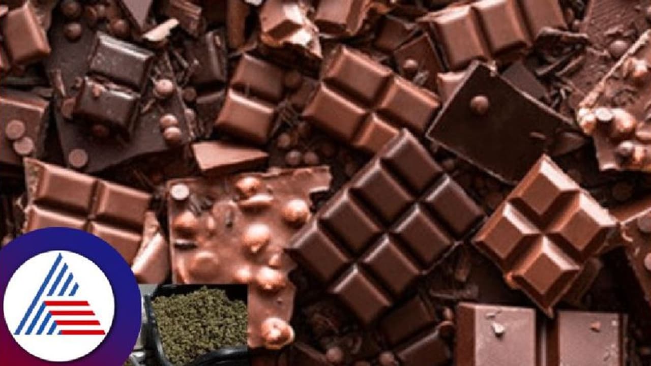 ದಕ್ಷಿಣ ಕನ್ನಡ: ಮಾದಕ ವಸ್ತು ಮಿಶ್ರಿತ 100 ಕೆ.ಜಿ.ಚಾಕೊಲೆಟ್‌ ವಶ