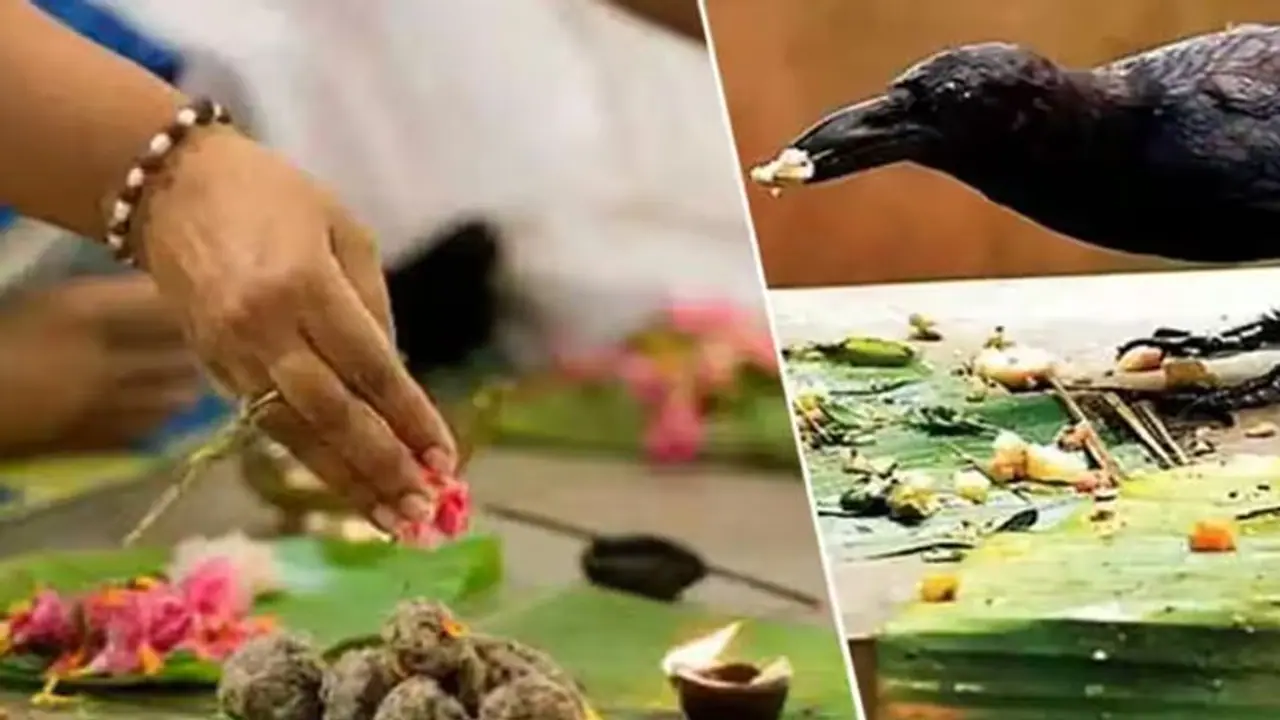 மகாளய பட்சம்: முன்னோர்களின் கடனை அடைக்க ஏற்ற காலம் இது..! மிஸ் பண்ணிடாதீங்க..!!