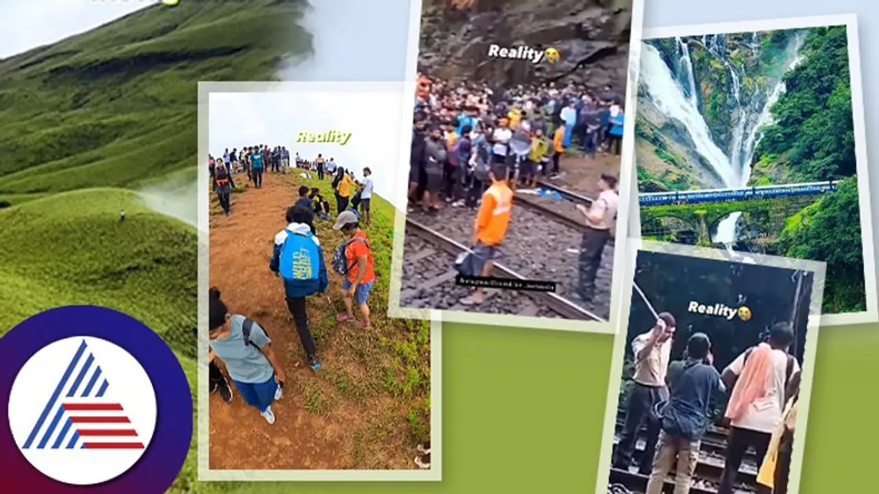 ಮಾನ್ಸೂನ್‌ ಟ್ರಿಪ್‌, ಟ್ರಕ್ಕಿಂಗ್‌ ಮತ್ತು ಇನ್‌ಸ್ಟಾ ರೀಲ್ಸ್‌; ಮನುಷ್ಯನ ಹಾವಳಿಗೆ ಹಾಳಾಗ್ತಿದೆ ನಿಸರ್ಗದ ಹಸಿರೊಡಲು