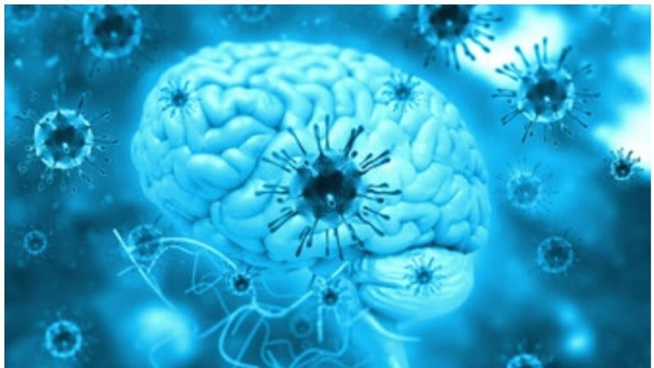 എറണാകുളത്ത് ഒന്നാം ക്ലാസ് വിദ്യാര്ത്ഥിക്ക് മസ്തിഷ്ക ജ്വരം സ്ഥിരീകരിച്ചു എറണാകുളത്ത് ഒന്നാം ക്ലാസ് വിദ്യാര്ത്ഥിക്ക് മസ്തിഷ്ക ജ്വരം സ്ഥിരീകരിച്ചു