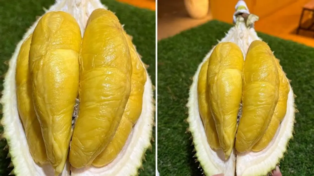 Digestive health to mood booster: 5 health benefits of Durian