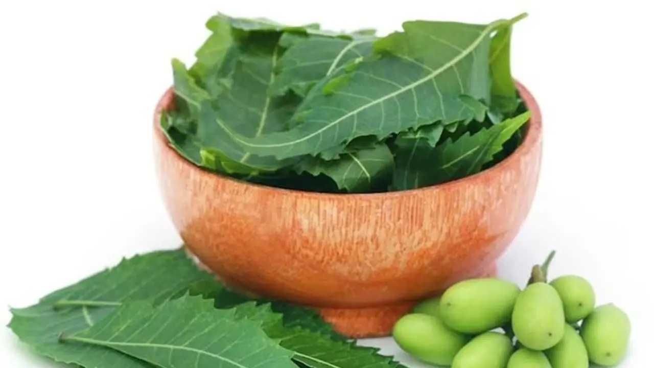 5 incredible benefits of using Neem for our Skin