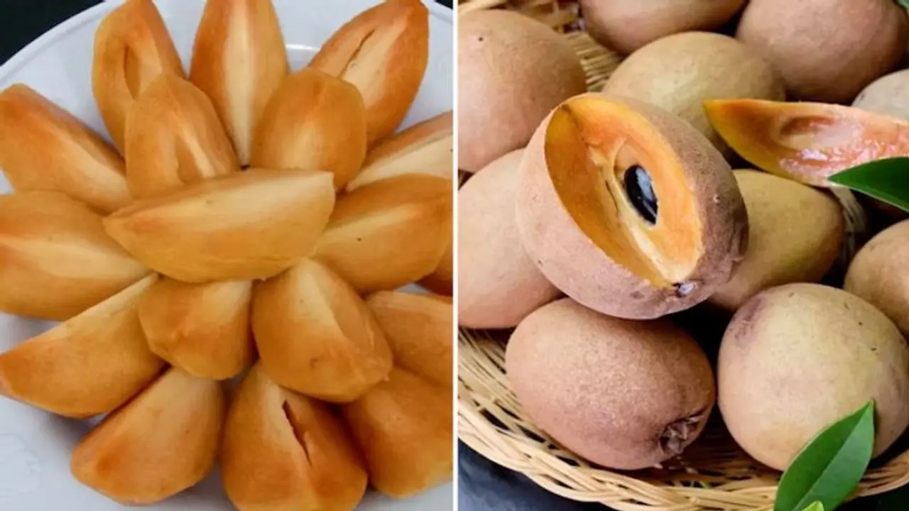 Sapodilla: tropical treasure revealing 5 surprising health benefits Sapodilla: tropical treasure revealing 5 surprising health benefits