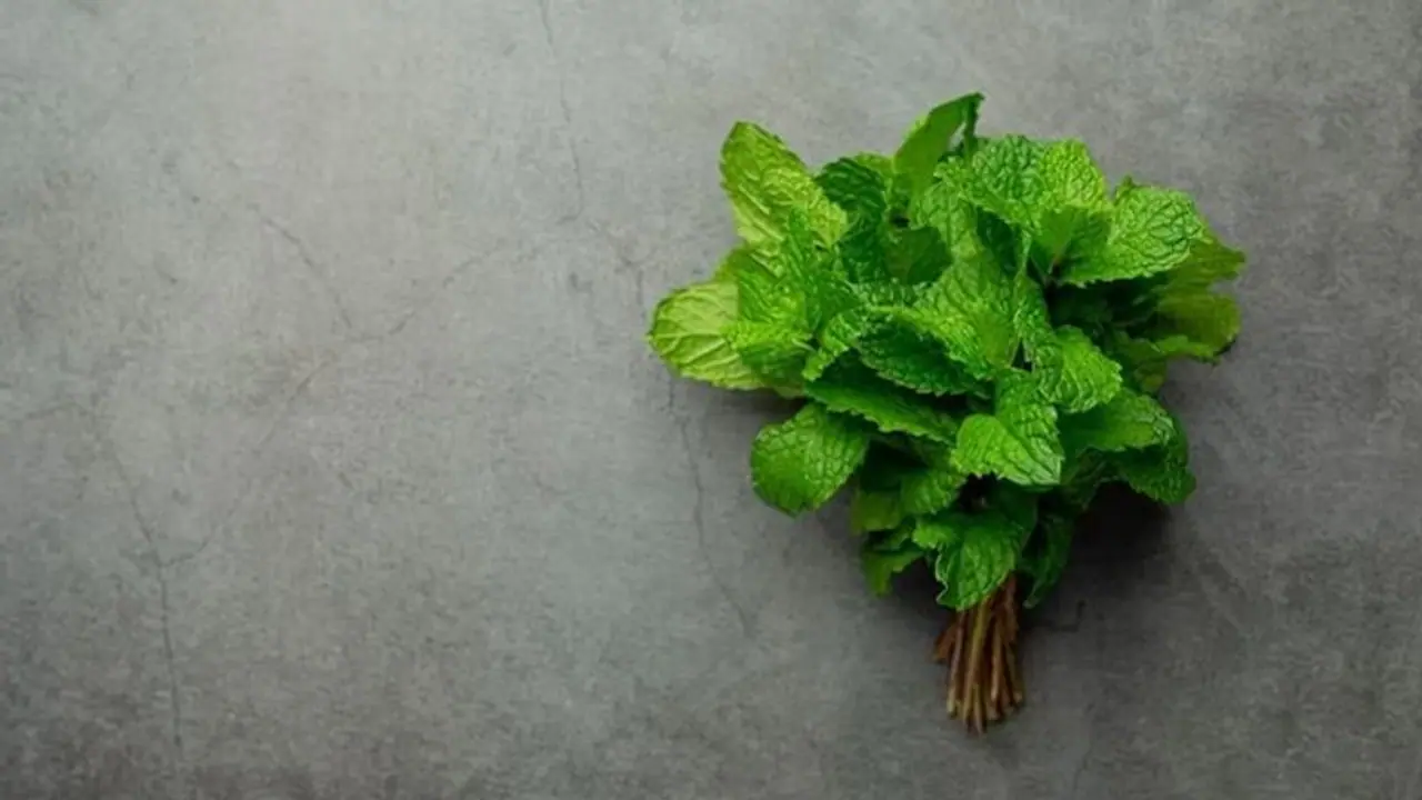 Health Tips : പുതിനയില വെള്ളം കുടിക്കുന്നത് പതിവാക്കൂ, ​ഗുണങ്ങൾ പലതാണ് 