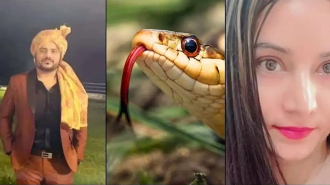 யூடியூப்பில் கிரைம் நிகழ்ச்சிகளை பார்த்து நல்ல பாம்பை கடிக்க வைத்து கொன்ற காதலி! புது காதலனுடன் எஸ்கேப்.! யூடியூப்பில் கிரைம் நிகழ்ச்சிகளை பார்த்து நல்ல பாம்பை கடிக்க வைத்து கொன்ற காதலி! புது காதலனுடன் எஸ்கேப்.!