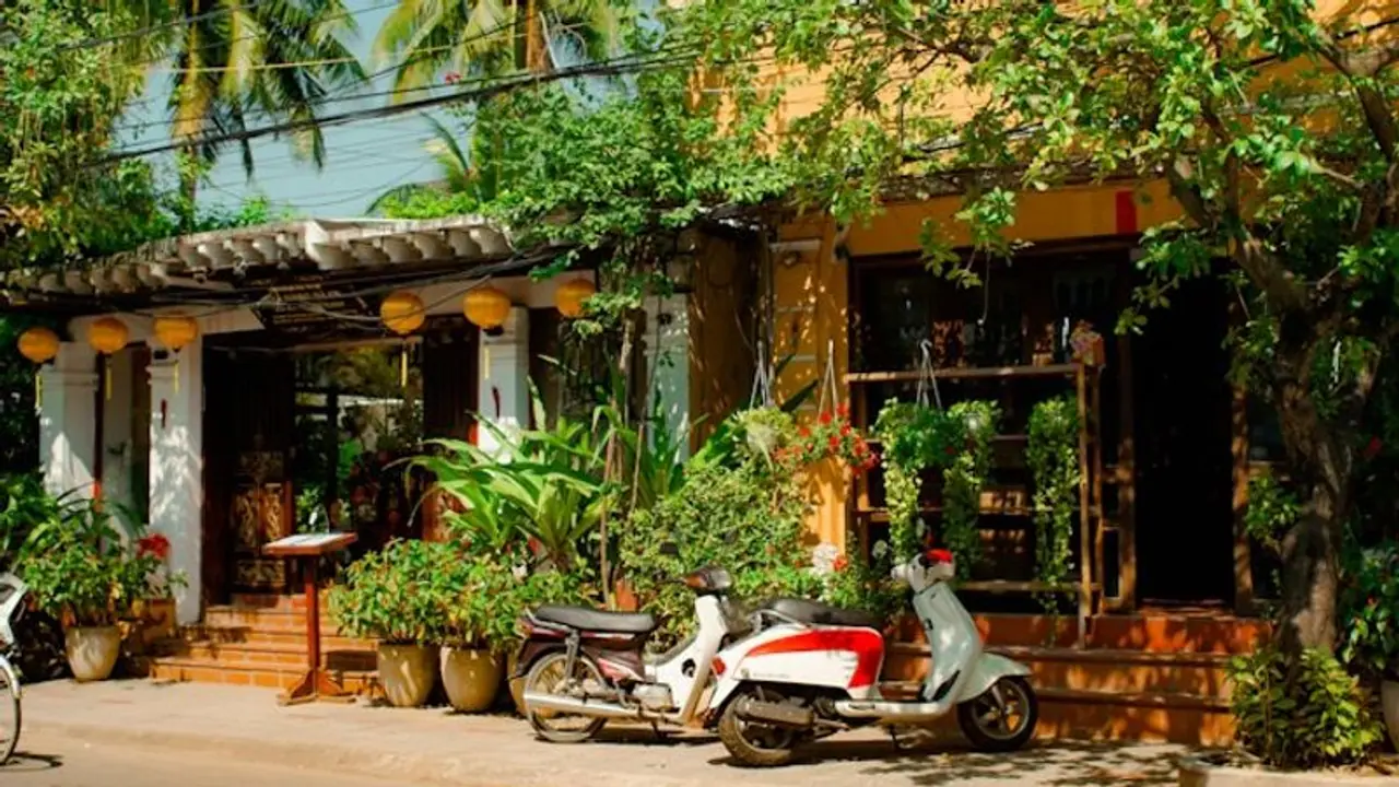 Vegetal Canopies: 6 ways to bridge gap between urban hussle and nature Vegetal Canopies: 6 ways to bridge gap between urban hussle and nature