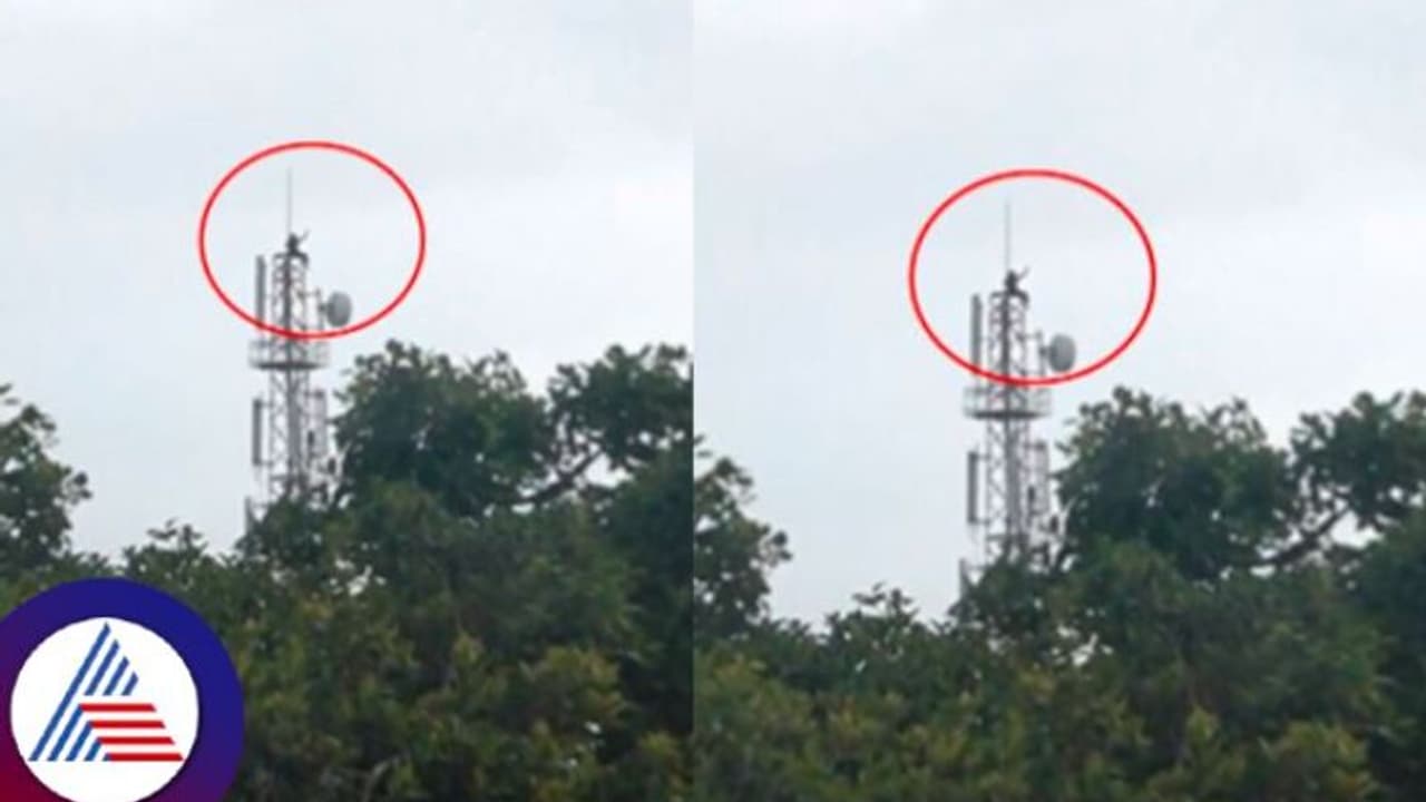 ಪ್ರೀತಿಸಿದವಳನ್ನೇ ಮದ್ವೆಯಾಗೋಕೆ ಬಿಡ್ತೀರಾ, ಇಲ್ವಾ; ಟವರ್ ಹತ್ತಿ ಬೆದರಿಕೆ ಹಾಕಿದ ಭೂಪ! ಪ್ರೀತಿಸಿದವಳನ್ನೇ ಮದ್ವೆಯಾಗೋಕೆ ಬಿಡ್ತೀರಾ, ಇಲ್ವಾ; ಟವರ್ ಹತ್ತಿ ಬೆದರಿಕೆ ಹಾಕಿದ ಭೂಪ!