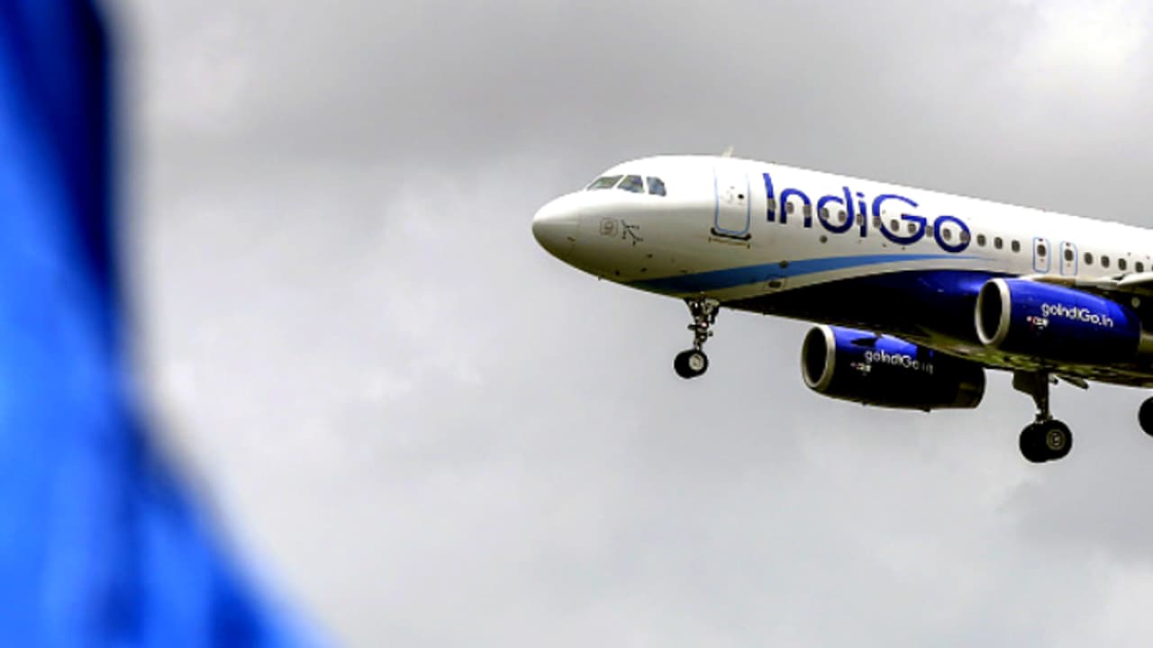 INDIGO INDIGO