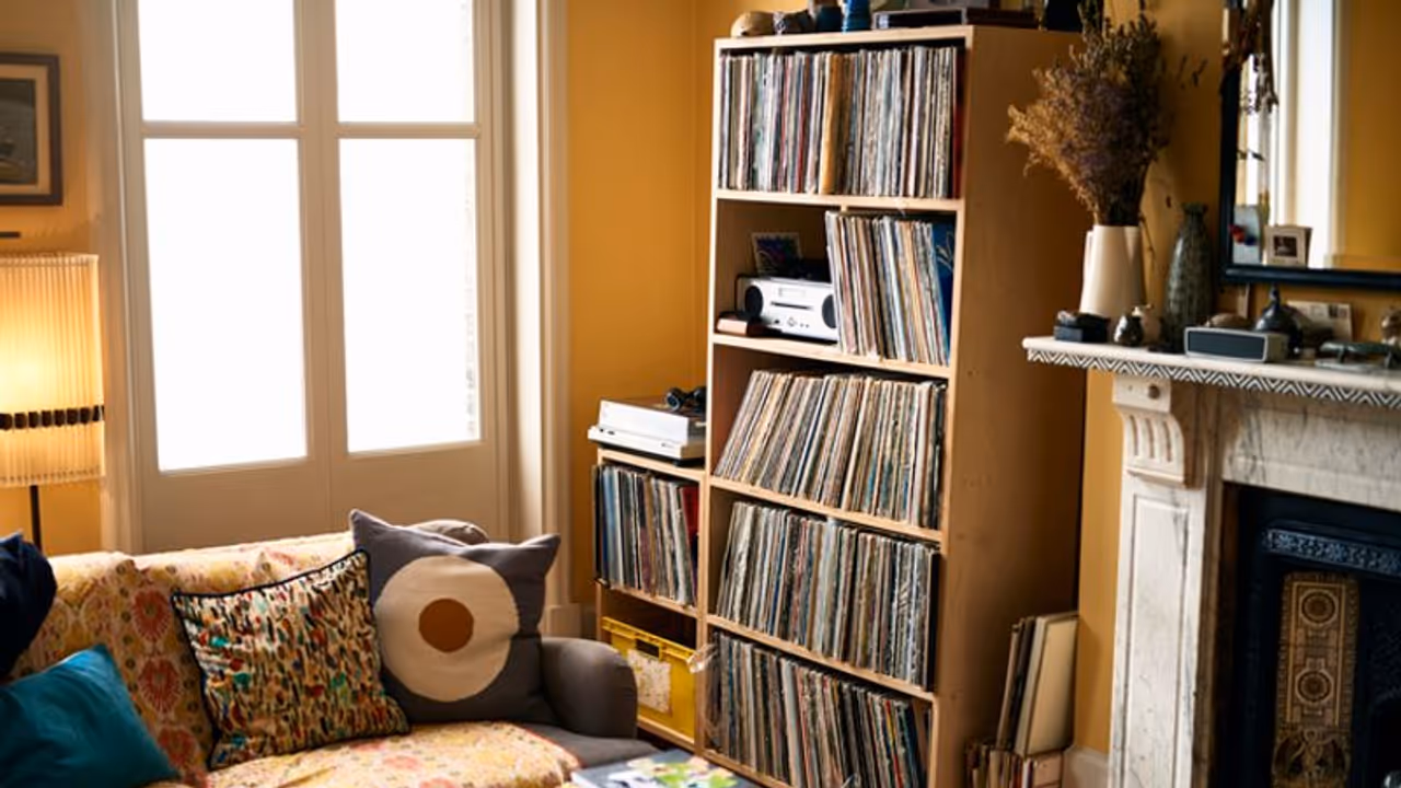 Here are 7 easy steps to keep your bookshelves clean and tidy