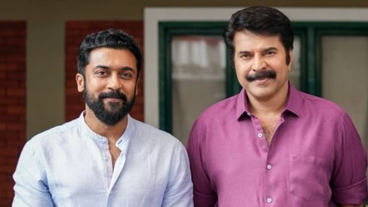 'നടിപ്പിൻ നായകന്' മമ്മൂട്ടിയുടെ പിറന്നാൾ ആശംസ; ആഘോഷമാക്കി സൂര്യ ആരാധകർ 'നടിപ്പിൻ നായകന്' മമ്മൂട്ടിയുടെ പിറന്നാൾ ആശംസ; ആഘോഷമാക്കി സൂര്യ ആരാധകർ