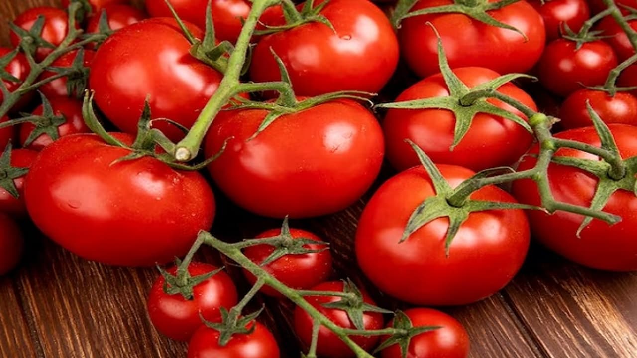 టమాటల ధరలు పెరిగితే వాటిని వాడకండి.. లేదంటే వాటికి బదులు నిమ్మకాయలు వాడండి: యూపీ మంత్రి ఉచిత సలహా (Video) టమాటల ధరలు పెరిగితే వాటిని వాడకండి.. లేదంటే వాటికి బదులు నిమ్మకాయలు వాడండి: యూపీ మంత్రి ఉచిత సలహా (Video)