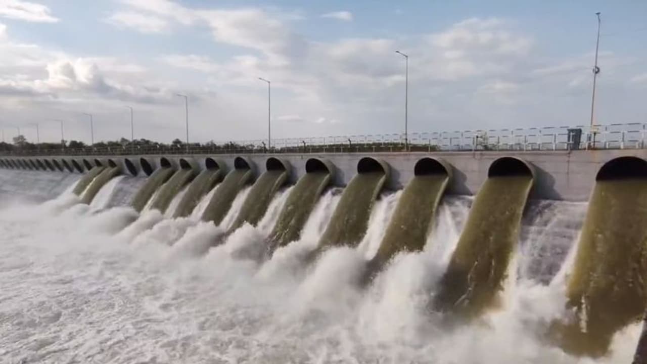 తెలంగాణలో విస్తారంగా వర్షాలు.. జలకళను సంతరించుకున్న నీటి పారుదల ప్రాజెక్టులు తెలంగాణలో విస్తారంగా వర్షాలు.. జలకళను సంతరించుకున్న నీటి పారుదల ప్రాజెక్టులు