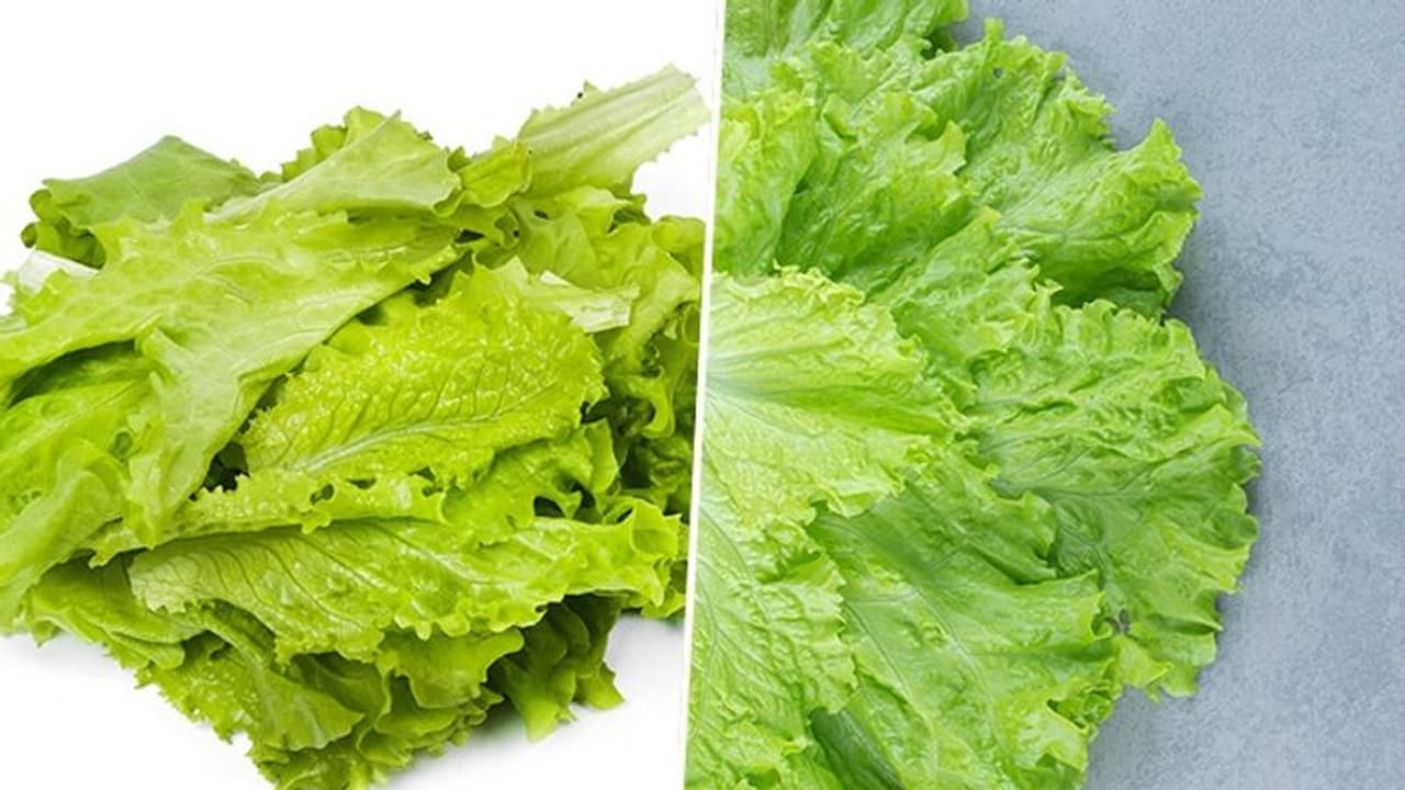 Digestive health to heart health: 5 benefits of eating Lettuce Digestive health to heart health: 5 benefits of eating Lettuce