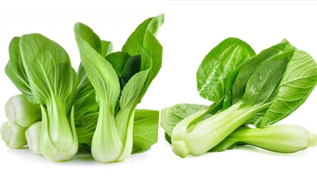 Anti oxidant to nutrient powerhouse: Remarkable benefits of Pak Choy Anti oxidant to nutrient powerhouse: Remarkable benefits of Pak Choy