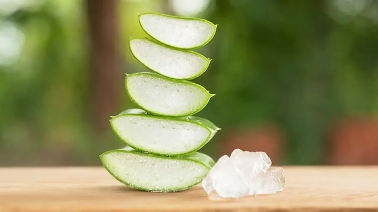 Cooling to Moisturizing: 5 surprising benefits of Aloe Vera for your Eyes