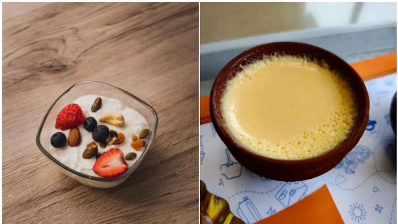 Incredible health benefits of Curd: A probiotic powerhouse for wellness Incredible health benefits of Curd: A probiotic powerhouse for wellness