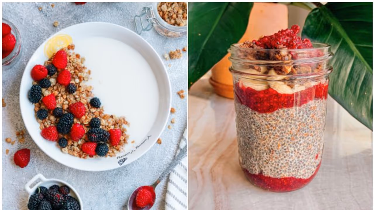 Greek Yogurt to Chia Seeds: 7 delicious and nutritious Snack Ideas for successful dieting