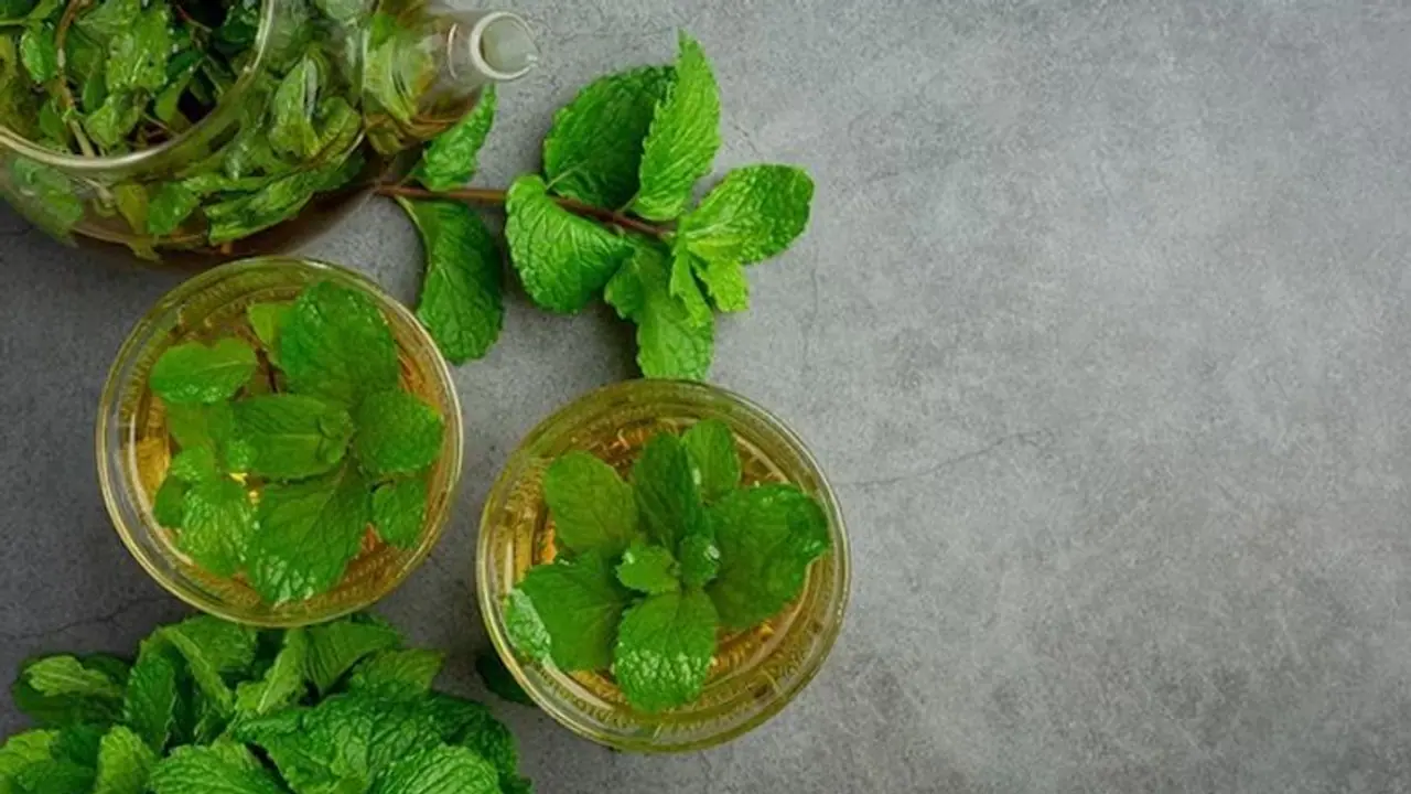 5 Health benefits of Peppermint on your Body 5 Health benefits of Peppermint on your Body