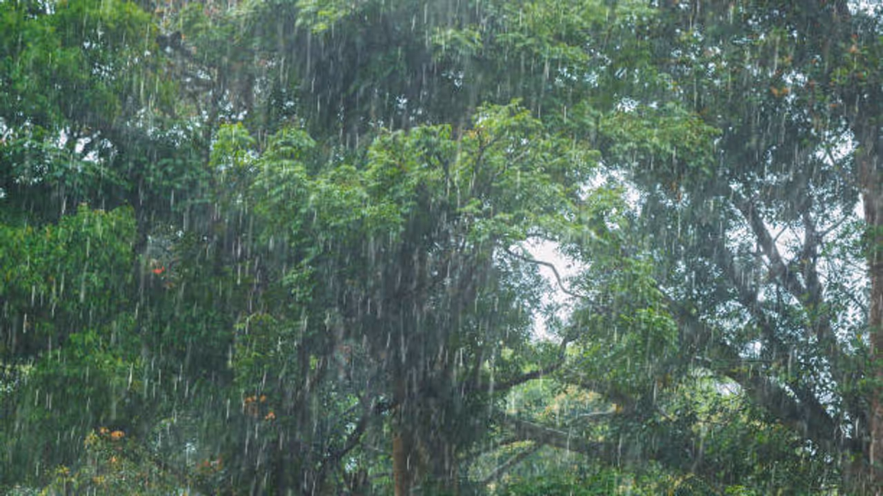 ಕರ್ನಾಟಕದಲ್ಲಿ ಮುಂದಿನ 4 ದಿನ ಭಾರೀ ಮಳೆ..! ಕರ್ನಾಟಕದಲ್ಲಿ ಮುಂದಿನ 4 ದಿನ ಭಾರೀ ಮಳೆ..!