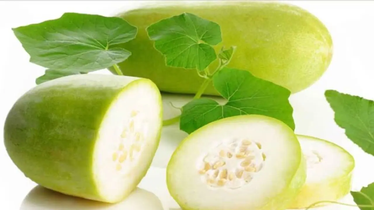 ശരീരഭാരം കുറയ്ക്കാൻ കുമ്പളങ്ങ; അറിയാം മറ്റ് ഗുണങ്ങള്... ശരീരഭാരം കുറയ്ക്കാൻ കുമ്പളങ്ങ; അറിയാം മറ്റ് ഗുണങ്ങള്...