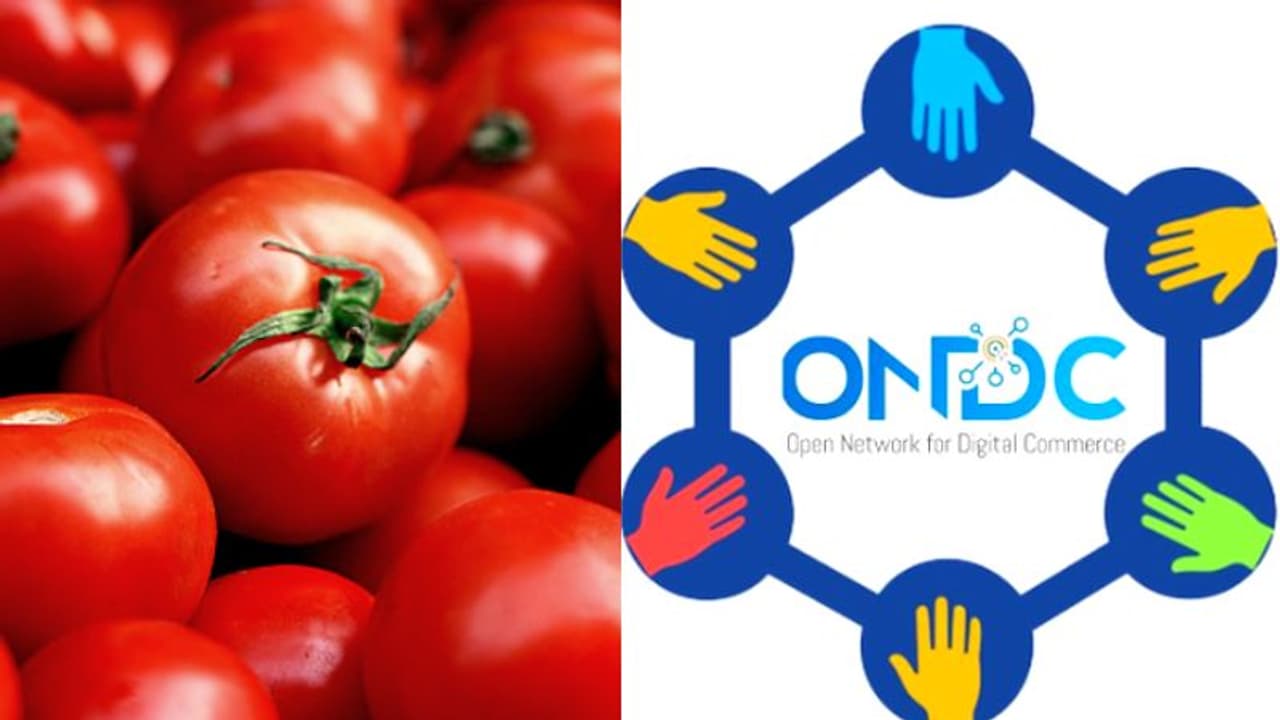 സബ്സിഡിയുള്ള തക്കാളി ഇപ്പോൾ ഓൺലൈനിൽ; ലഭിക്കുക രണ്ട് കിലോ മാത്രം സബ്സിഡിയുള്ള തക്കാളി ഇപ്പോൾ ഓൺലൈനിൽ; ലഭിക്കുക രണ്ട് കിലോ മാത്രം