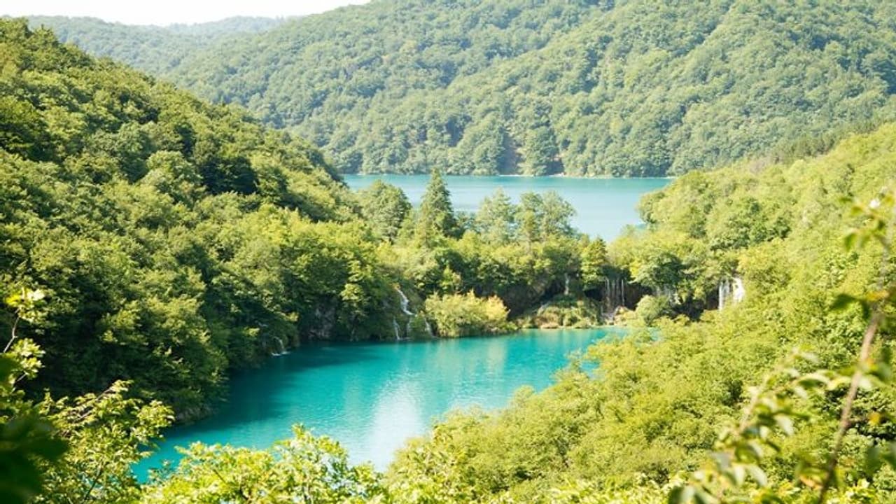 Discover serenity: Unravel beauty of India's lakes and rivers in floating glamping pods Discover serenity: Unravel beauty of India's lakes and rivers in floating glamping pods