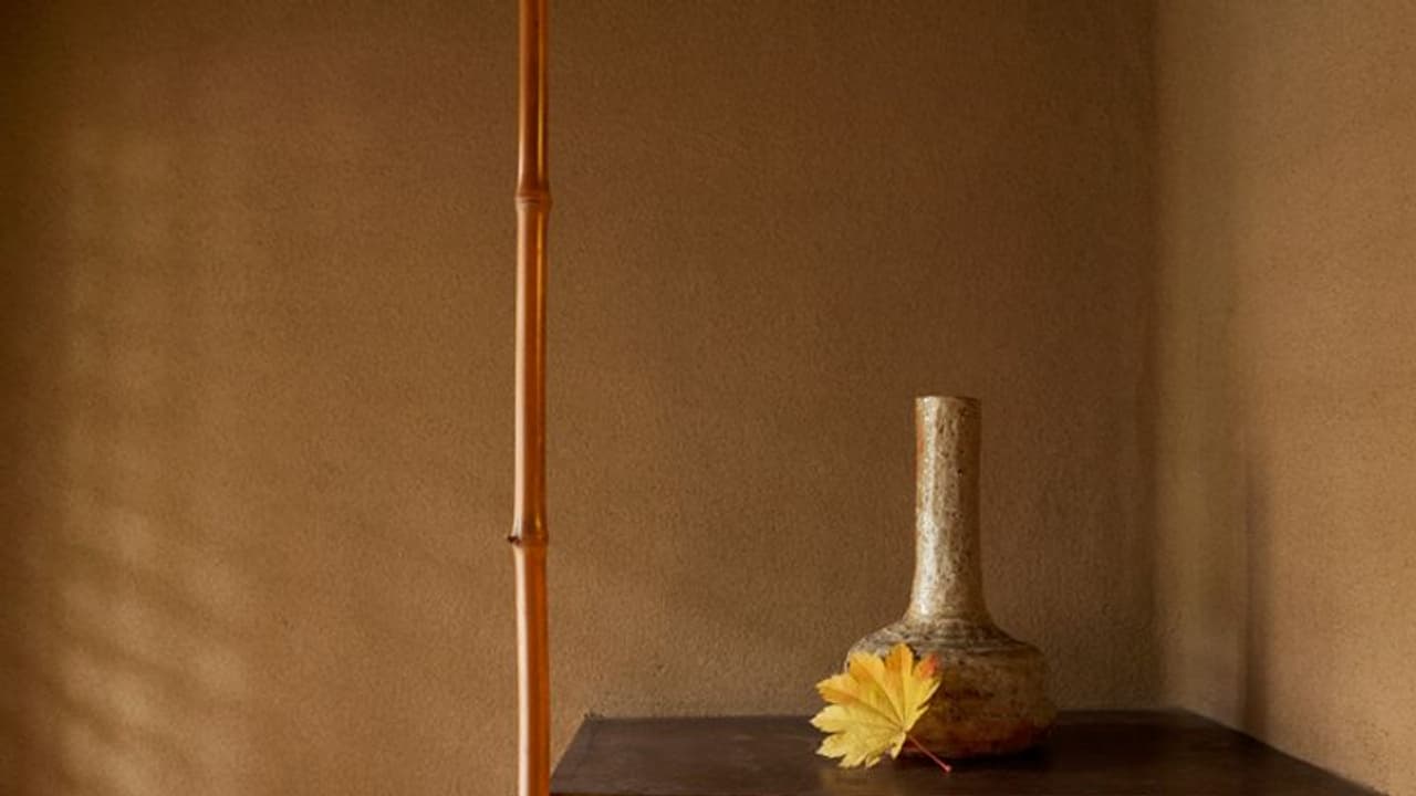 Explore the magic of WABI SABI