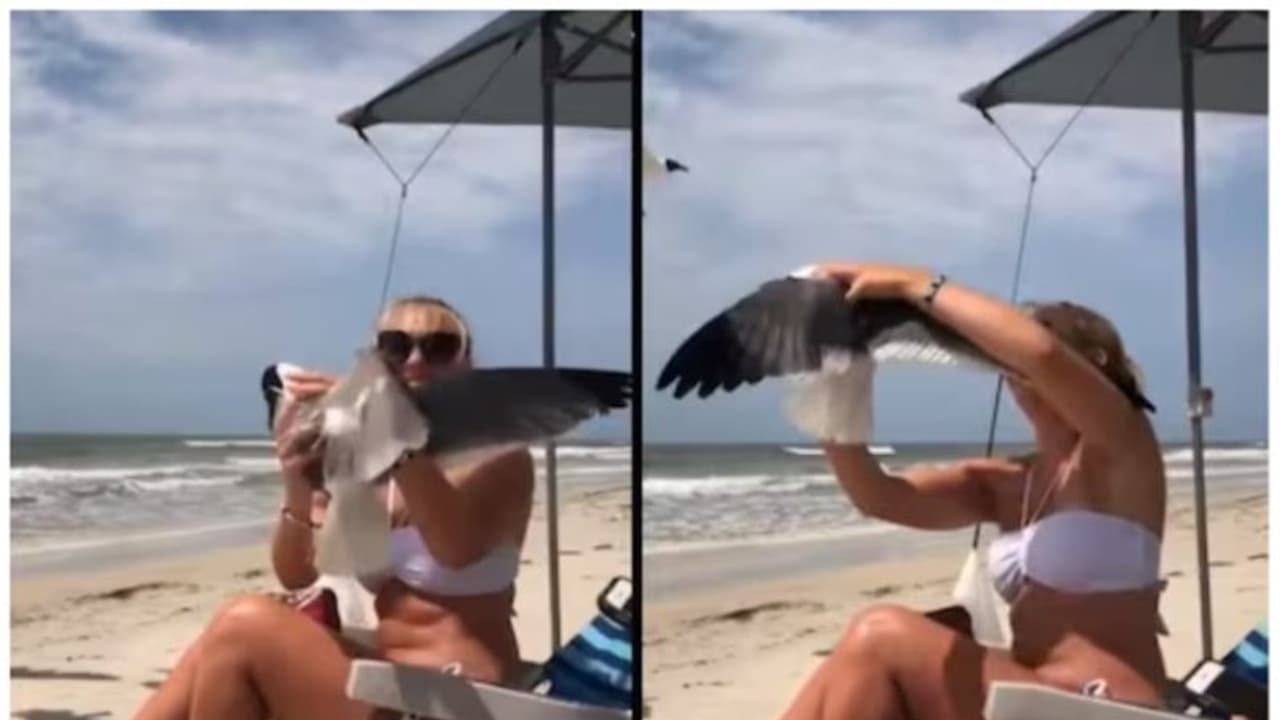 പക്ഷിയെ വിളിച്ച് വരുത്തി, പിടികൂടി ഉപദ്രവിച്ച് ആനന്ദിക്കുന്ന സ്ത്രീ; കലി പൂണ്ട് നെറ്റിസണ്‍സ് 