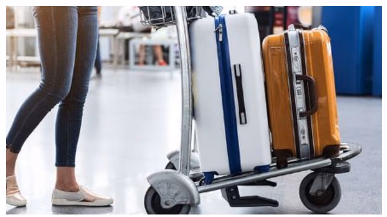 സൗദിയില് വന് തൊഴിലവസരങ്ങള്, ആകര്ഷകമായ ശമ്പളം; താമസം, വിസ, ടിക്കറ്റ് സൗജന്യം സൗദിയില് വന് തൊഴിലവസരങ്ങള്, ആകര്ഷകമായ ശമ്പളം; താമസം, വിസ, ടിക്കറ്റ് സൗജന്യം