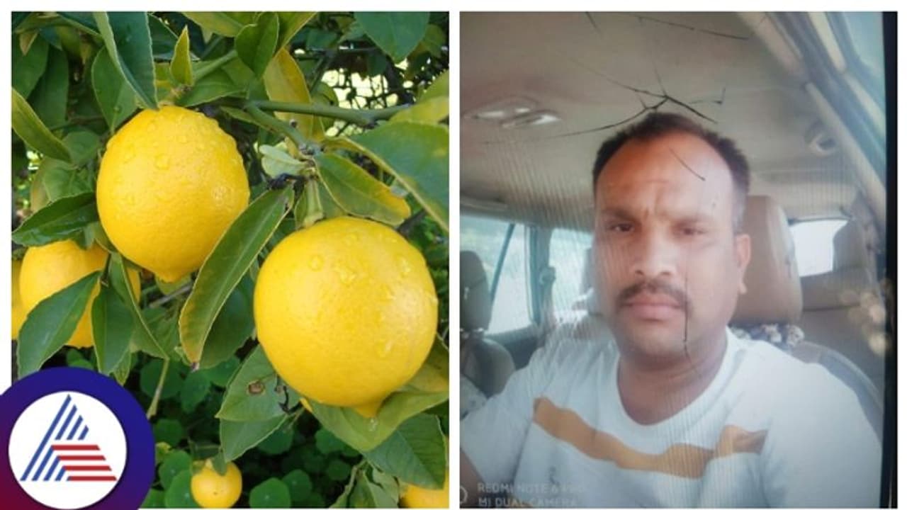 Bengaluru: ಮನೆ ದೋಚಿ ನಿಂಬೆಹಣ್ಣು ಇಡ್ತಿದ್ದ ಜ್ಯೋತಿಷಿ, ಚಿನ್ನಾಭರಣ ಸಹಿತ ಎಸ್ಕೇಪ್ Bengaluru: ಮನೆ ದೋಚಿ ನಿಂಬೆಹಣ್ಣು ಇಡ್ತಿದ್ದ ಜ್ಯೋತಿಷಿ, ಚಿನ್ನಾಭರಣ ಸಹಿತ ಎಸ್ಕೇಪ್