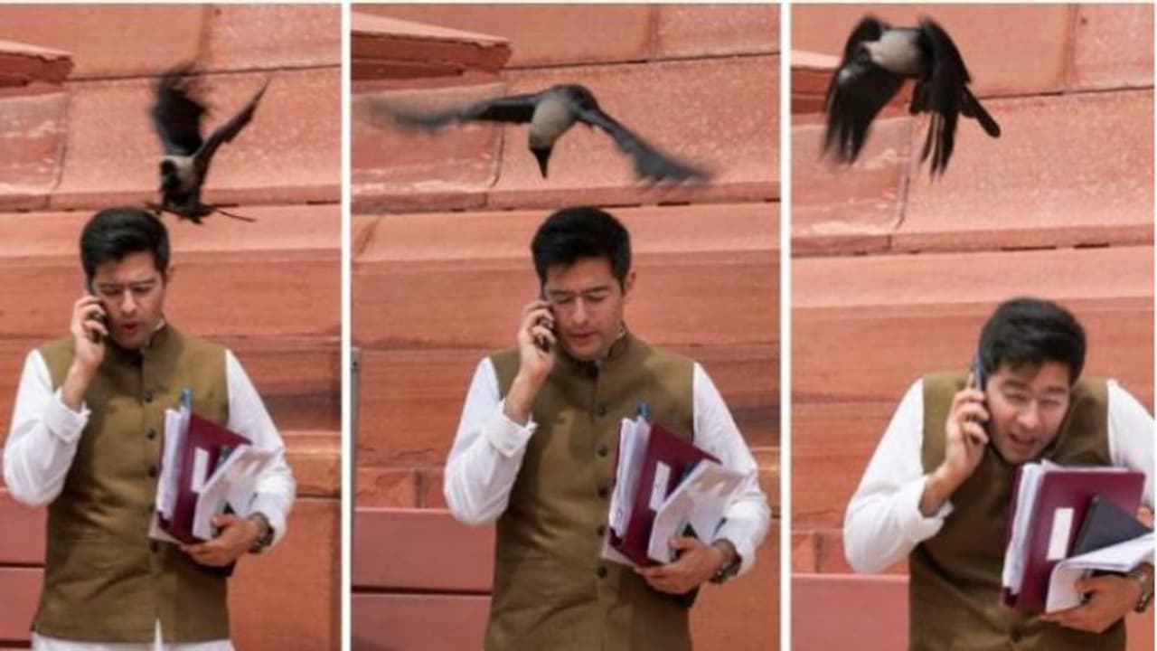 పార్లమెంట్ ఆవరణలో రాఘవ్ చద్దా తలపై తన్నిన కాని.. ఫొటో వైరల్.. బీజేపీ సెటైర్లు.. 