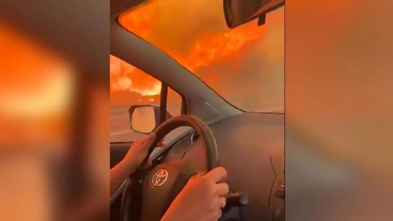 Wildfires ravage Italy: Terrifying video of woman's attempt to flee blaze in Sicily goes viral (WATCH) Wildfires ravage Italy: Terrifying video of woman's attempt to flee blaze in Sicily goes viral (WATCH)