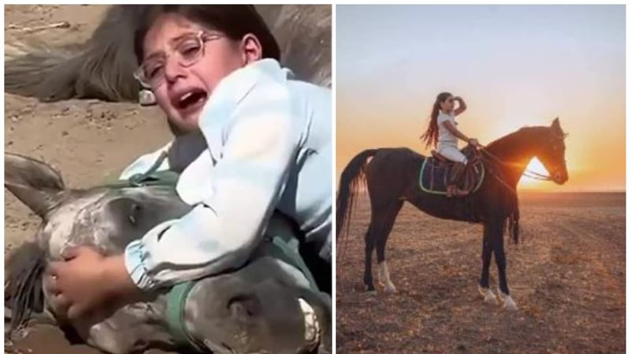 'ലോകത്തെ കരയിച്ച വീഡിയോ' ദുബൈ ഭരണാധികാരിയുടെ ഹൃദയത്തില് തൊട്ടു; ലാനിയയ്ക്ക് ശൈഖ് മുഹമ്മദിന്റെ വലിയ സമ്മാനം 'ലോകത്തെ കരയിച്ച വീഡിയോ' ദുബൈ ഭരണാധികാരിയുടെ ഹൃദയത്തില് തൊട്ടു; ലാനിയയ്ക്ക് ശൈഖ് മുഹമ്മദിന്റെ വലിയ സമ്മാനം