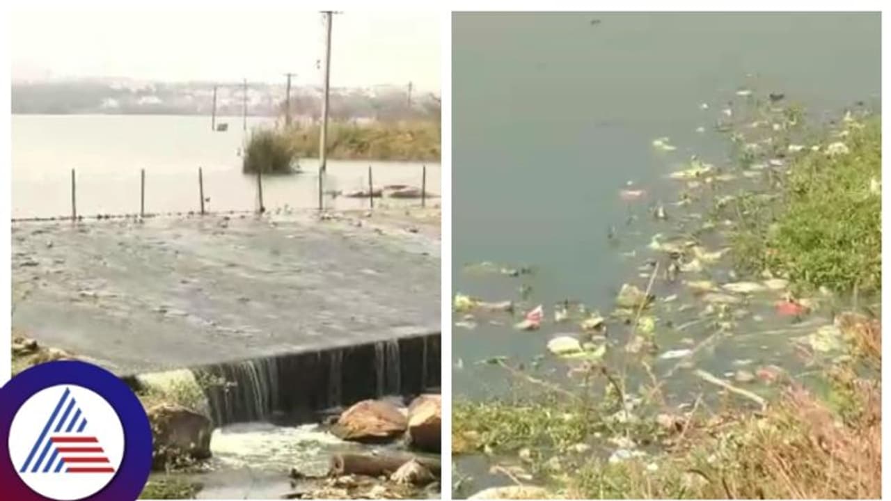 ಚಿತ್ರದುರ್ಗ ಜನರ ಪಾಲಿಗೆ ವಿಷವಾದ ಮಲ್ಲಾಪುರ ಕೆರೆ, ಸುತ್ತಮುತ್ತಲಿನ ಗ್ರಾಮದ ಜನರಿಗೆ ಸಂಕಷ್ಟ 