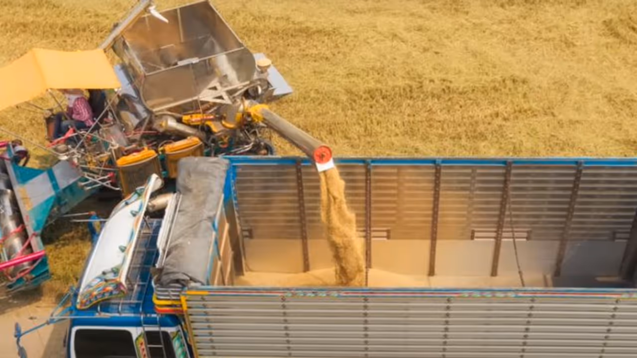 അരി കയറ്റുമതി നിരോധനം, ആഗോള വിപണിയെ തന്നെ ഞെട്ടിച്ച ഇന്ത്യയുടെ തീരുമാനം എന്തിന്? കാരണങ്ങള് അറിയാം അരി കയറ്റുമതി നിരോധനം, ആഗോള വിപണിയെ തന്നെ ഞെട്ടിച്ച ഇന്ത്യയുടെ തീരുമാനം എന്തിന്? കാരണങ്ങള് അറിയാം