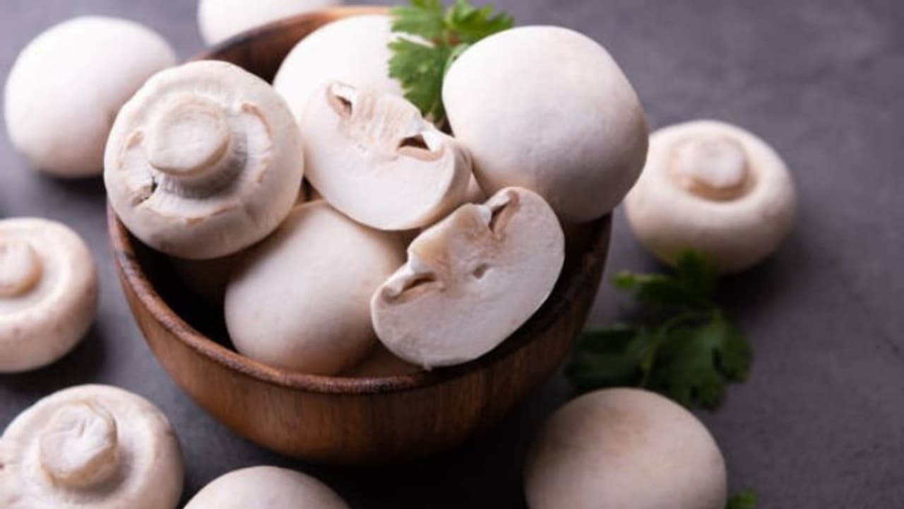 കൂണില് നിന്നുള്ള ഭക്ഷ്യവിഷബാധ ഒഴിവാക്കാൻ ചെയ്യേണ്ടത്... കൂണില് നിന്നുള്ള ഭക്ഷ്യവിഷബാധ ഒഴിവാക്കാൻ ചെയ്യേണ്ടത്...