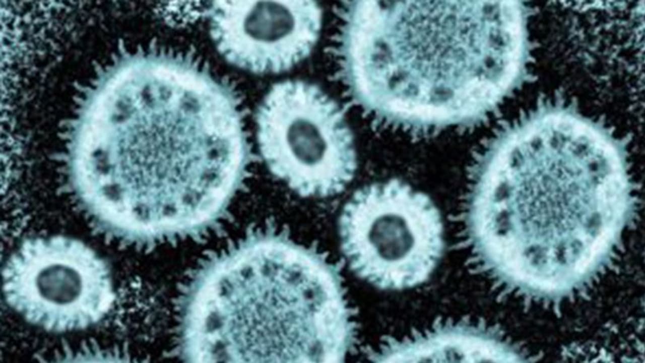  World Zoonoses Day 2024 : എന്താണ് സൂനോട്ടിക് രോ​ഗം ? അറിയേണ്ടതെല്ലാം